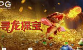 HB火博·体育官方正版手游2024最新版