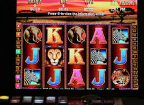 HB火博·体育官方正版手游2024最新版